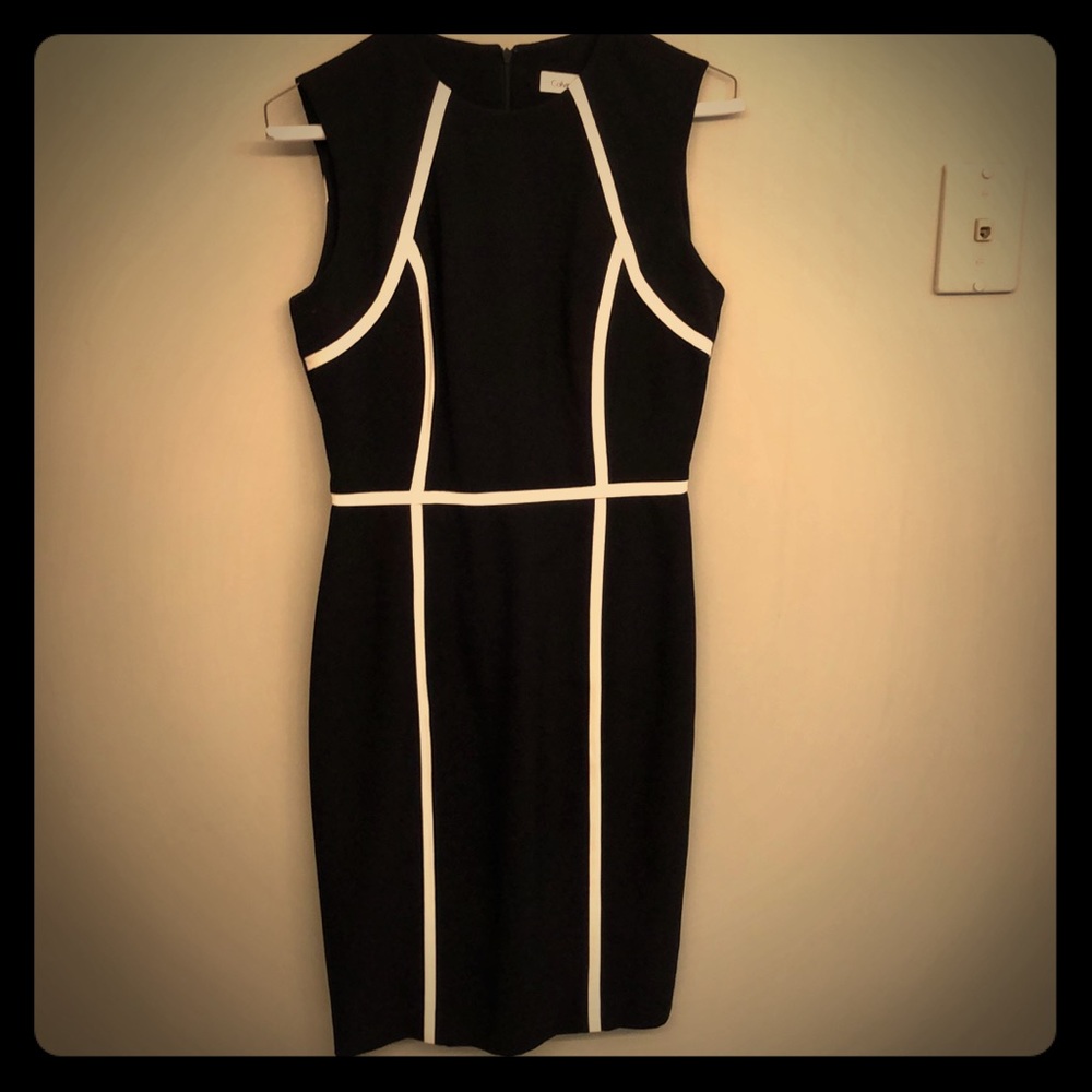 Calvin Klein Professional Midi Dress sz 2